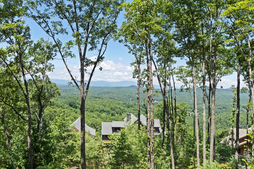 1324 Dana Road
