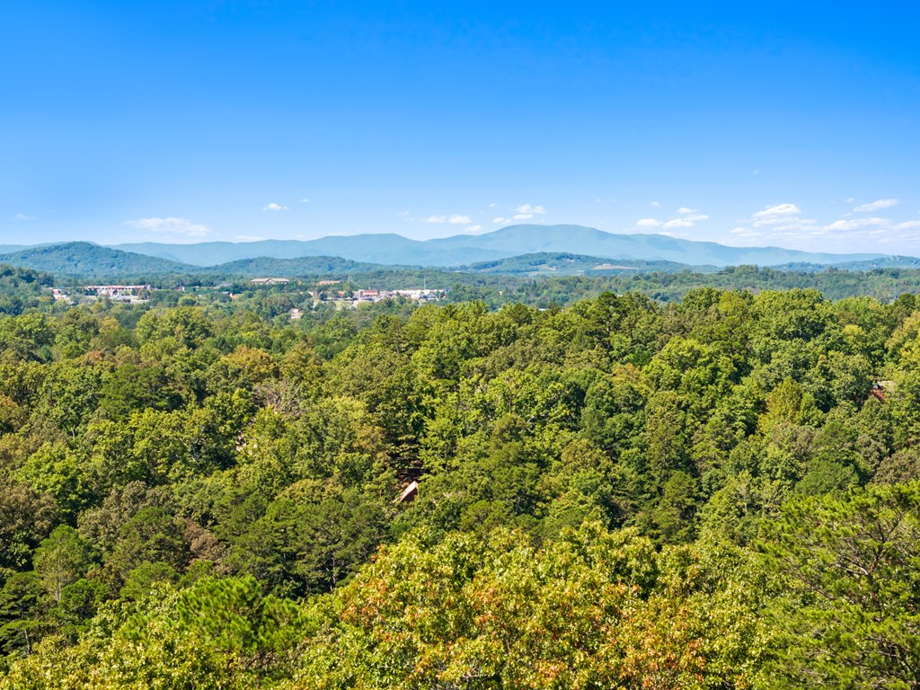 LOT 15 Tanglewood Cove Lane