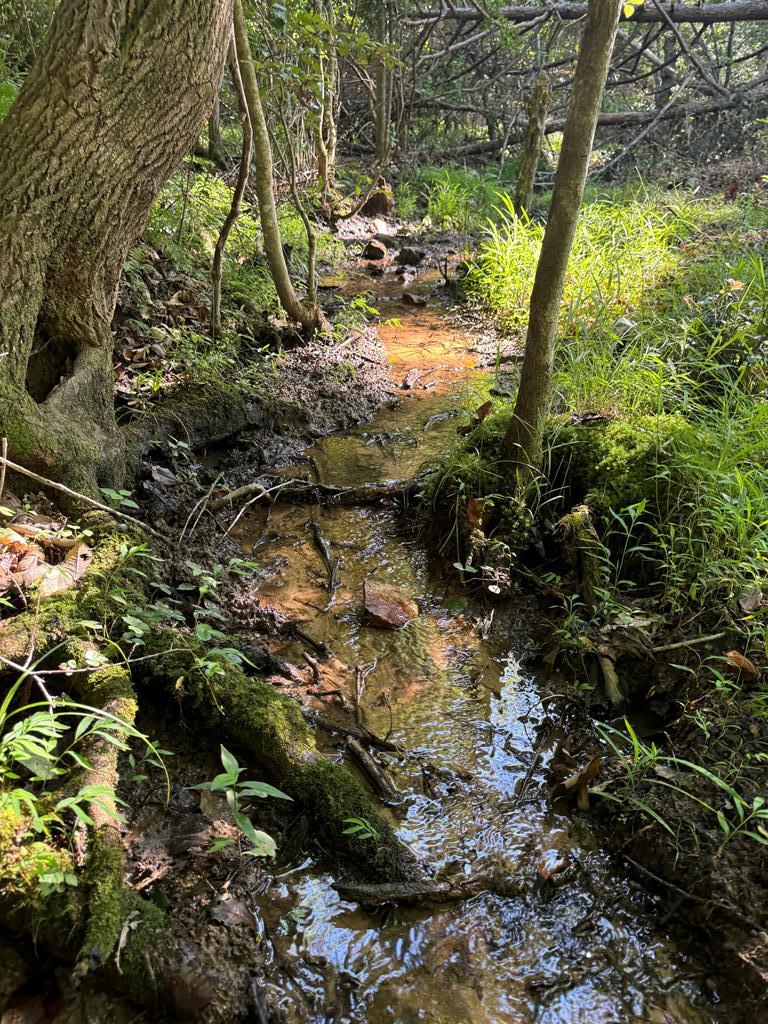 2 Acres Bennington Drive