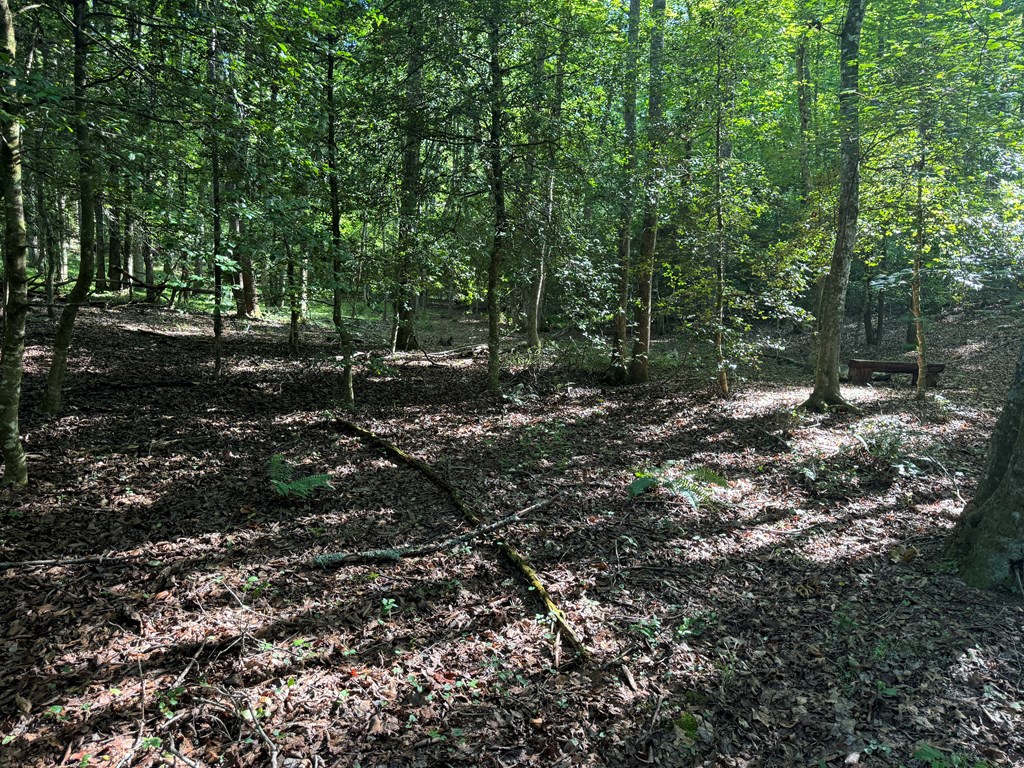 2 Acres Bennington Drive