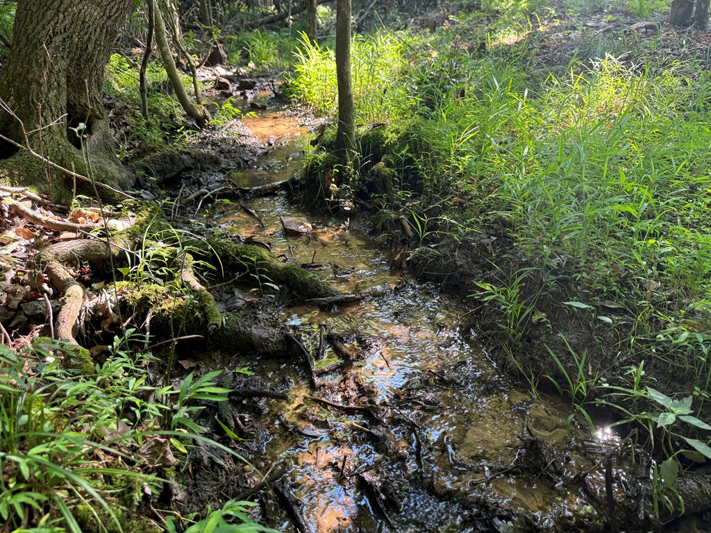 2 Acres Bennington Drive