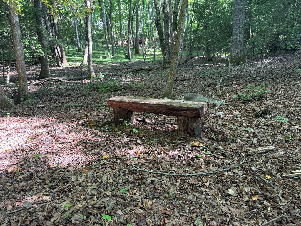 2 Acres Bennington Drive