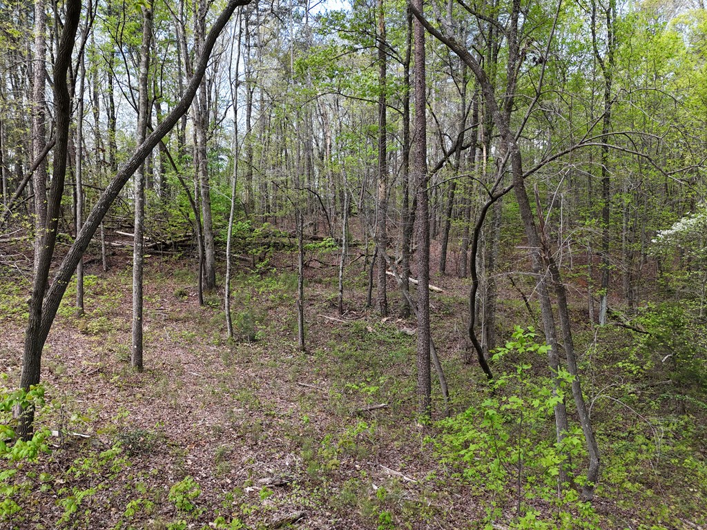 Lot 36R Hilton Drive