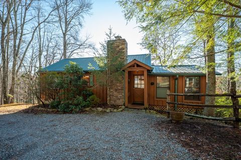 A home in Mineral Bluff