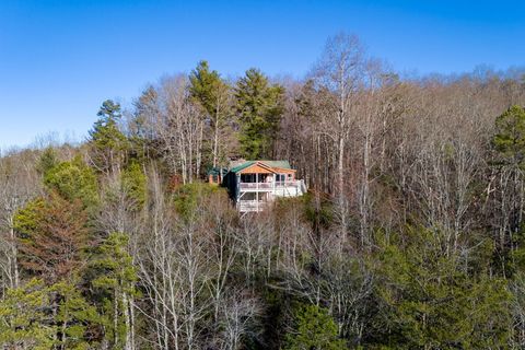 A home in Mineral Bluff