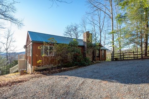 A home in Mineral Bluff