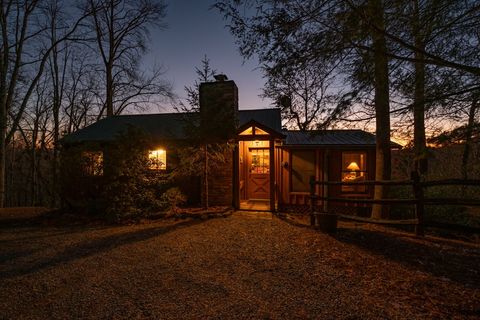 A home in Mineral Bluff