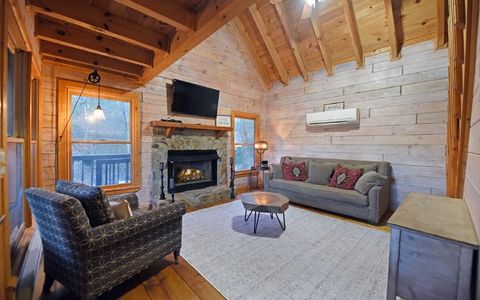 226 Pine Tree Drive Blue Ridge GA 30513