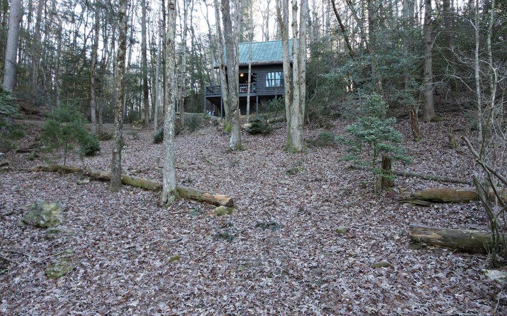 226 Pine Tree Drive