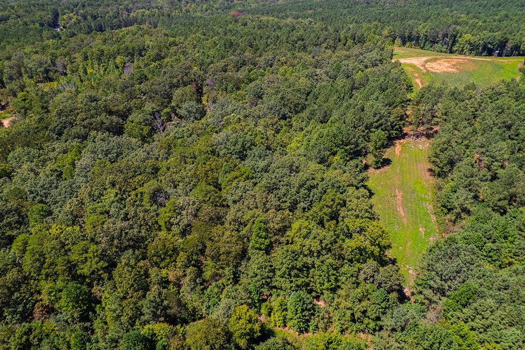 Lot 19 Harris Branch Road E