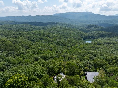 A home in Blue Ridge