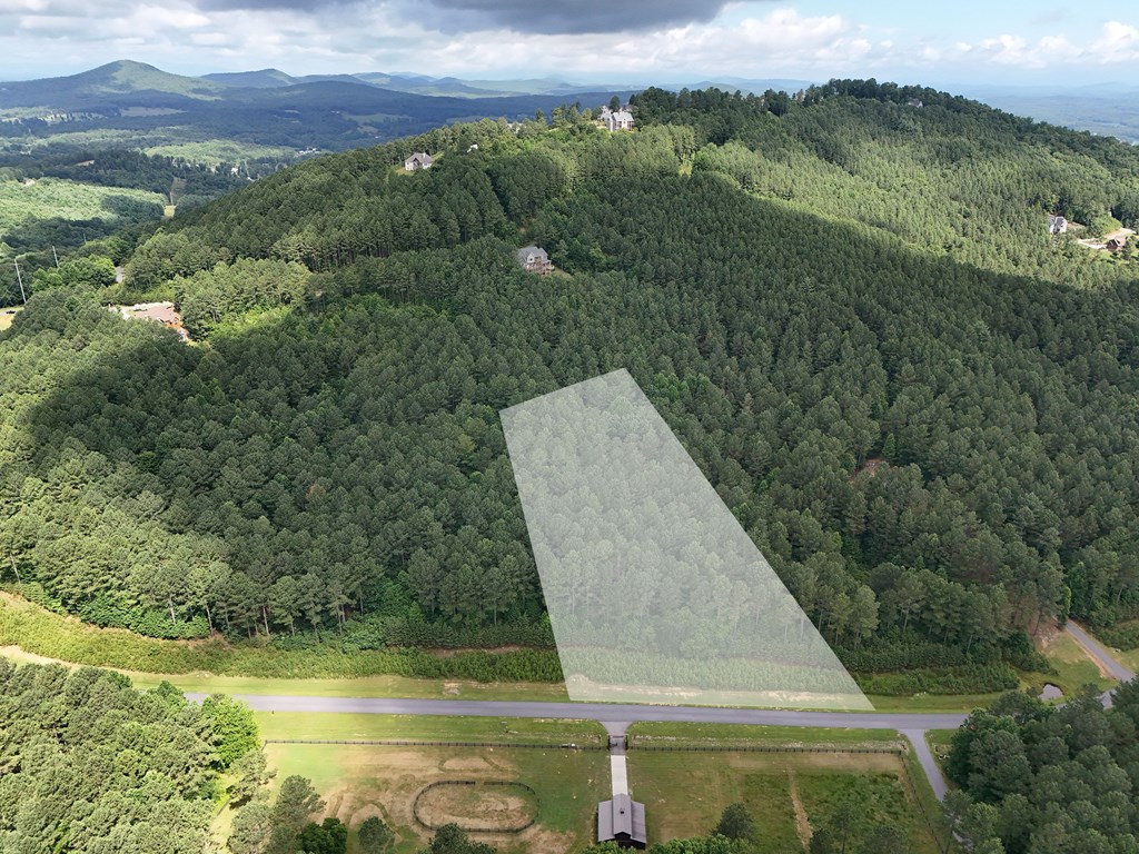 Lot 42 Thirteen Hundred