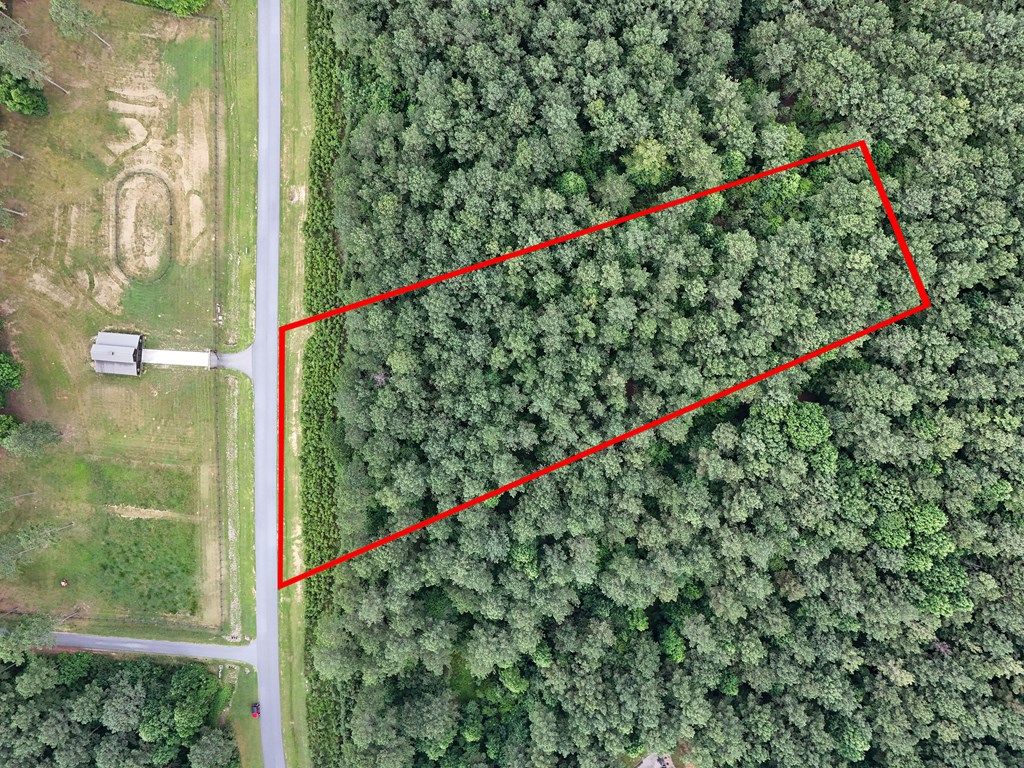 Lot 42 Thirteen Hundred