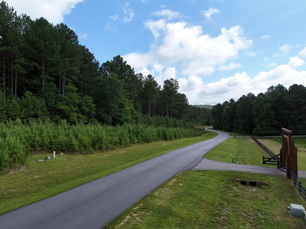 Lot 42 Thirteen Hundred