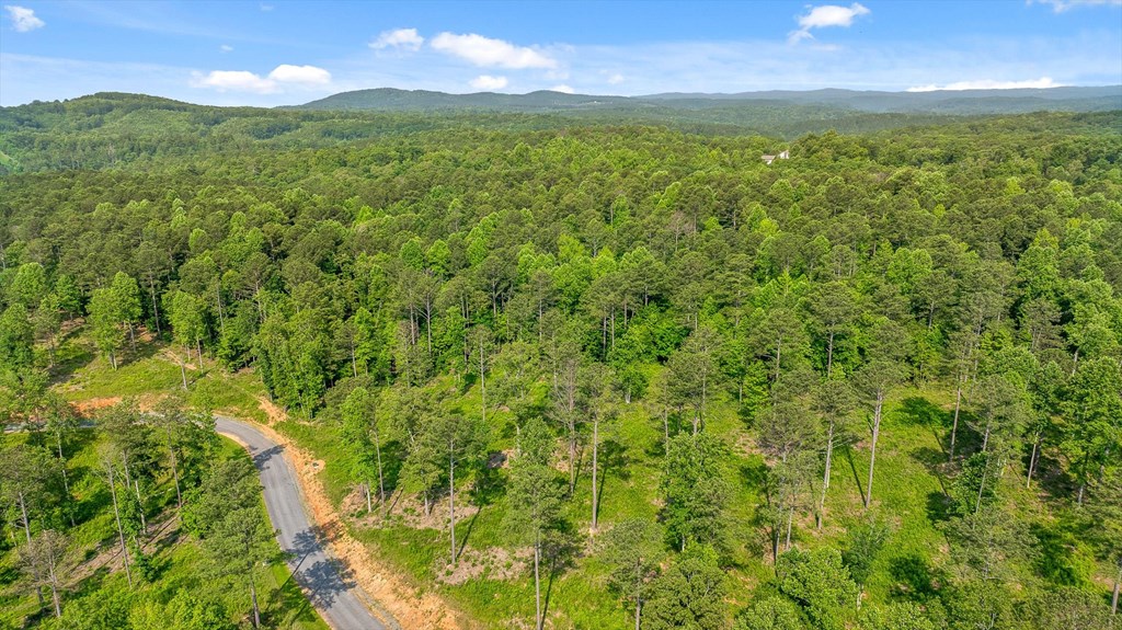 Lot 346 Timber Creek Trail