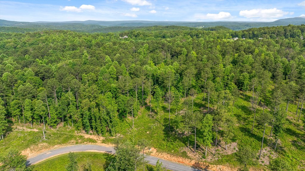 Lot 346 Timber Creek Trail