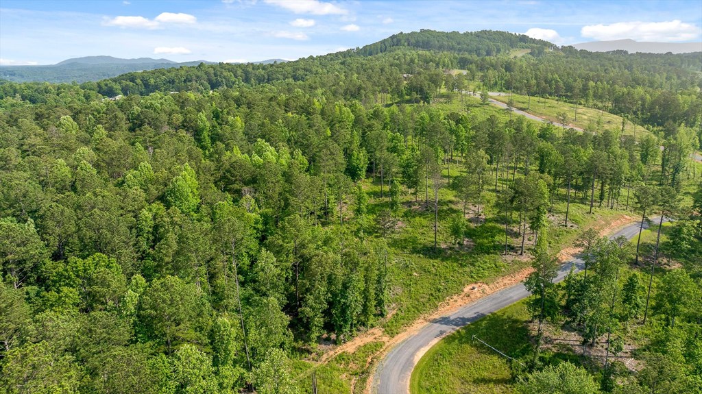 Lot 346 Timber Creek Trail