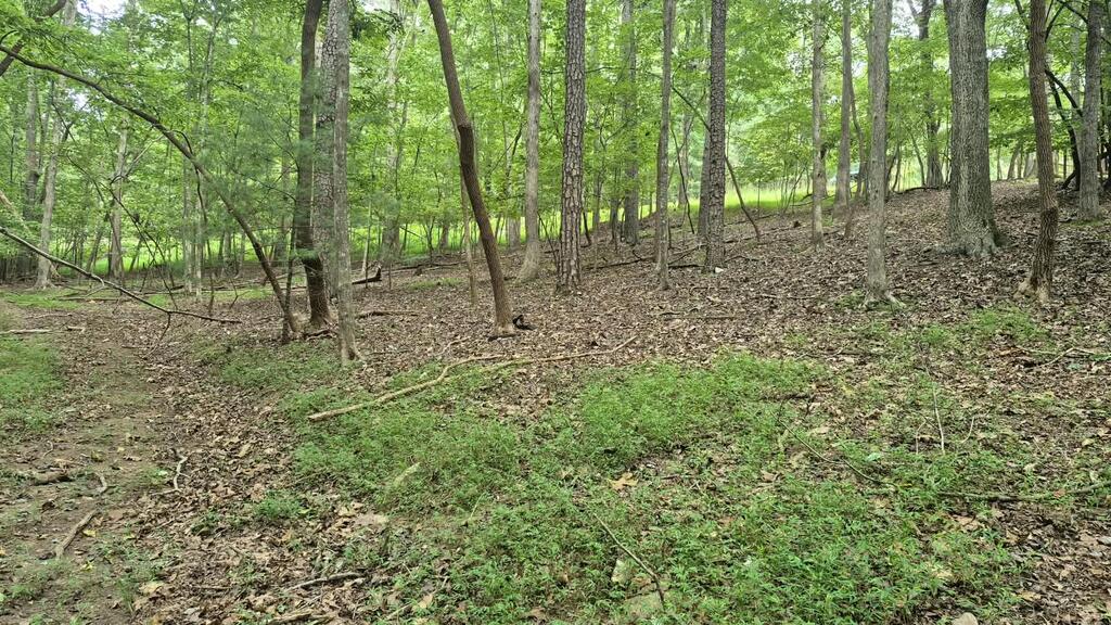 .39 Ac. Villa Drive