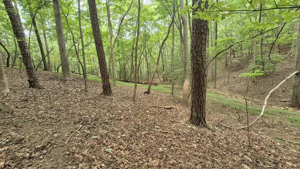 .39 Ac. Villa Drive