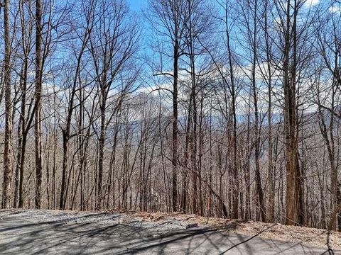 Lot 37 Overlook At Y.H. Young Harris GA 30582