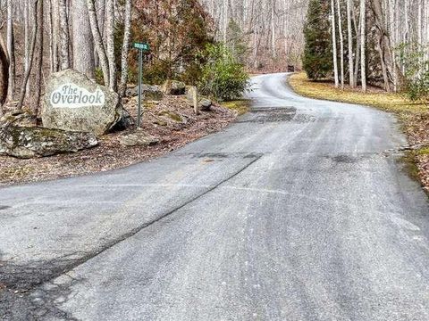 Lot 37 Overlook At Y.H. Young Harris GA 30582