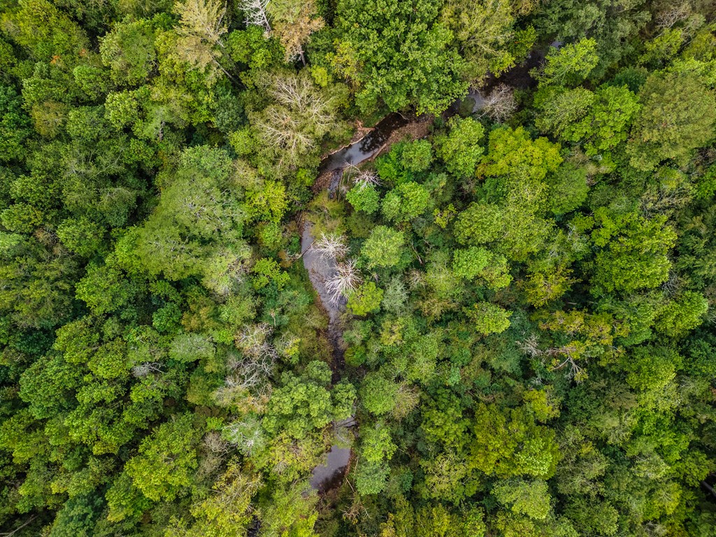 1.9 ac Old Northcutt Road