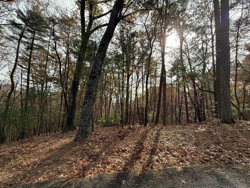 12 North Ridge Drive