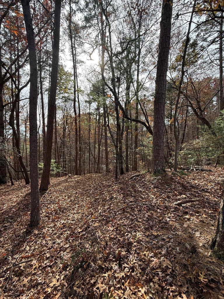 12 North Ridge Drive