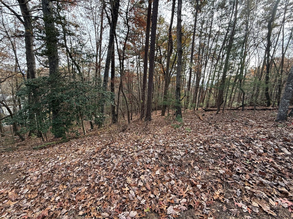 12 North Ridge Drive