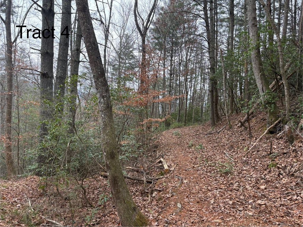 Tract 4 Fain Branch Road