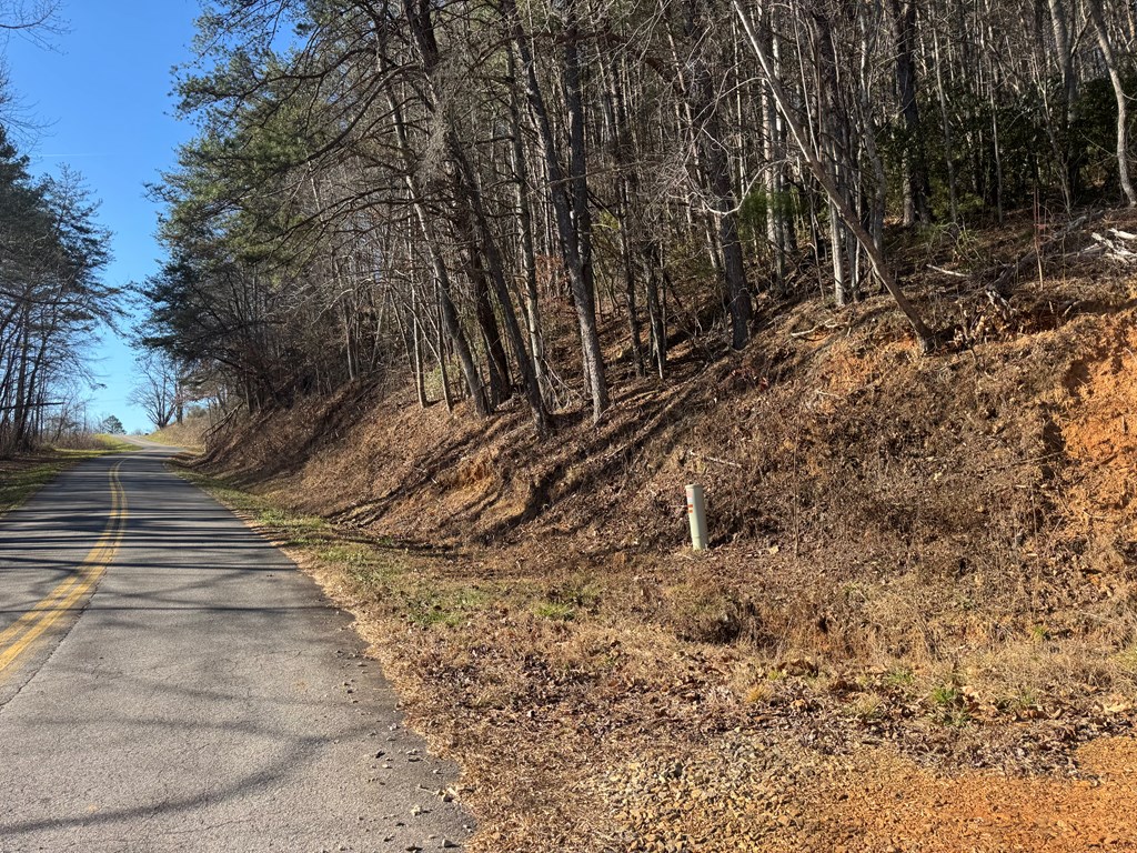 Tract 4 Fain Branch Road