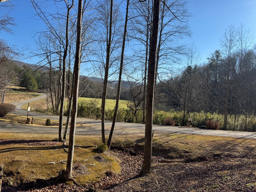 Tract 4 Fain Branch Road