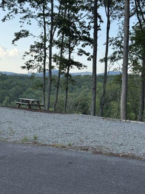 290 Eagle View Drive