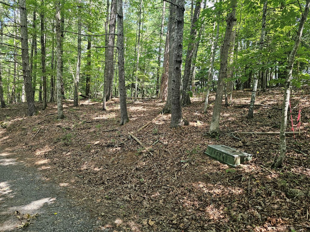 0 Nottley Ridge Road