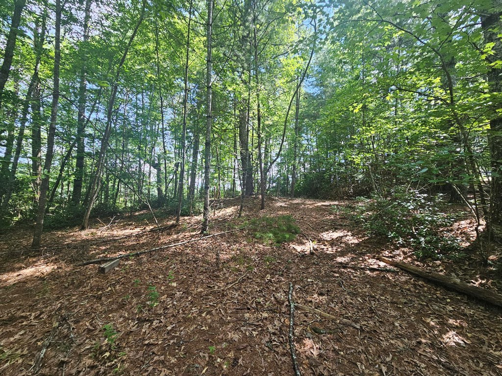 0 Nottley Ridge Road