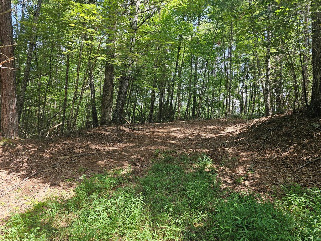 0 Nottley Ridge Road