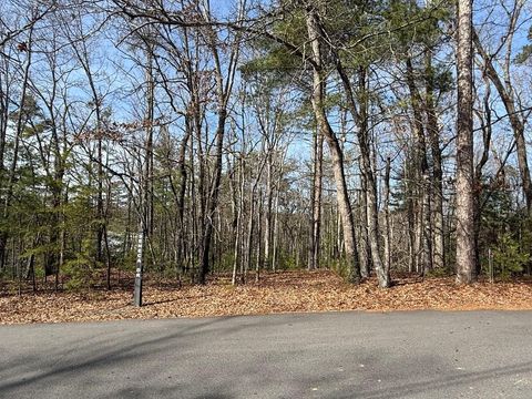 Lot 47 Seneca Drive Ellijay GA 30540