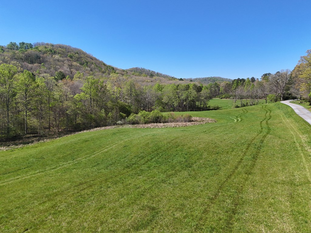 1489 Boy Scout Road