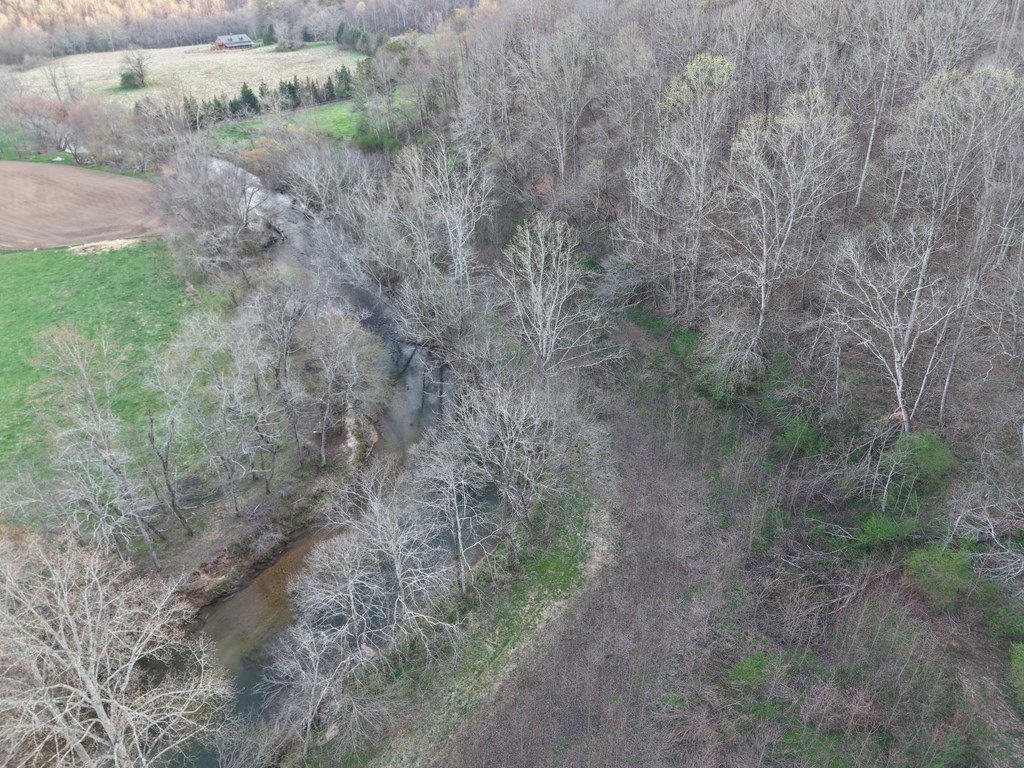 28.5 AC Ragweed Lane