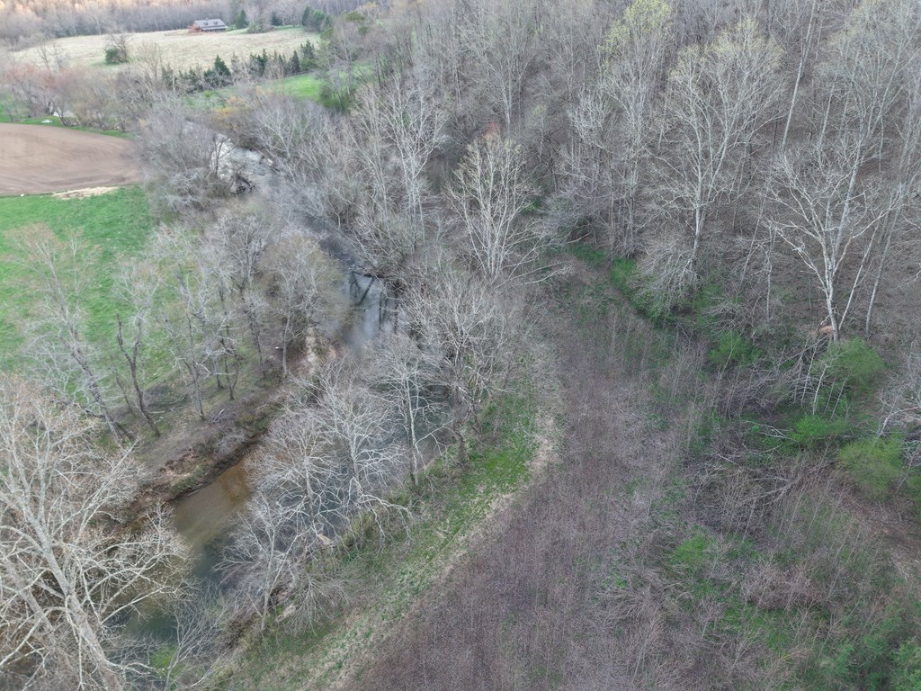 28.5 AC Ragweed Lane