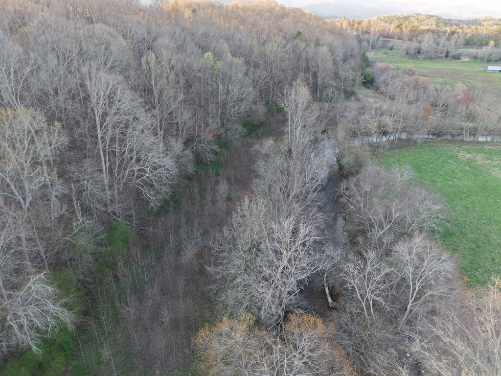 28.5 AC Ragweed Lane
