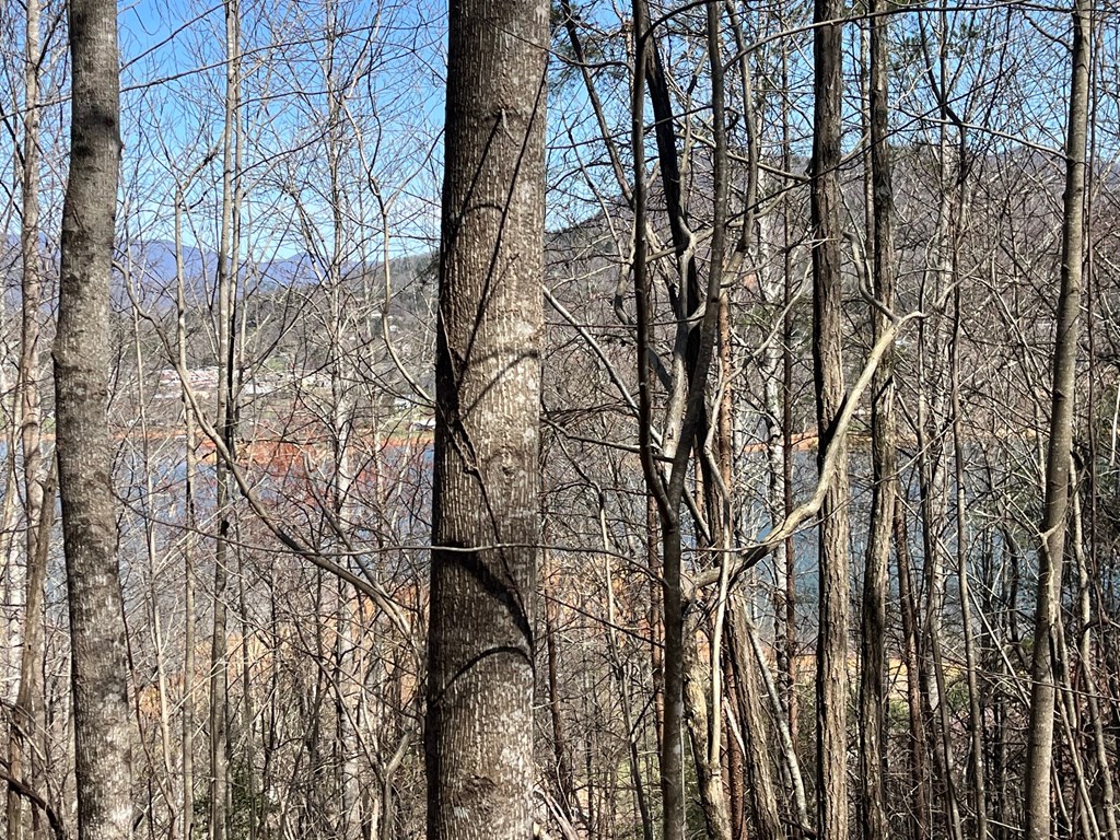 .87 acre Brer Fox Ridge