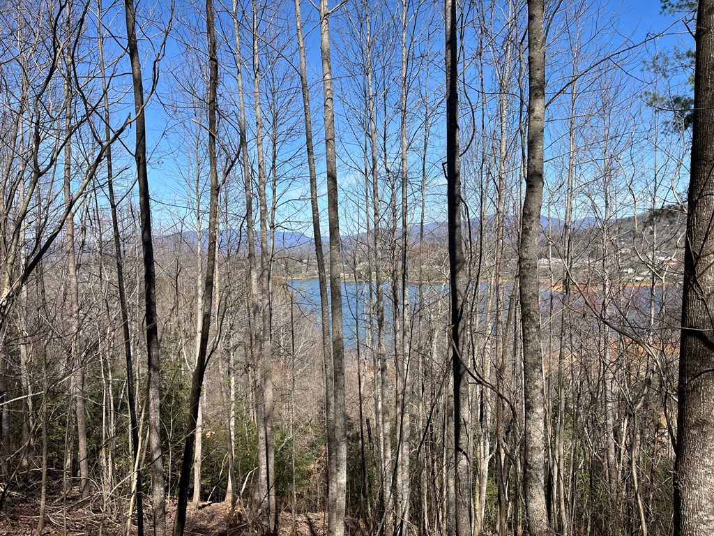 .87 acre Brer Fox Ridge