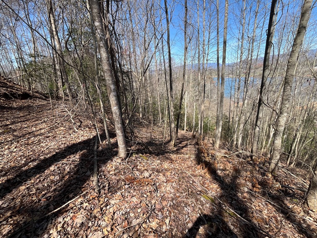 .87 acre Brer Fox Ridge