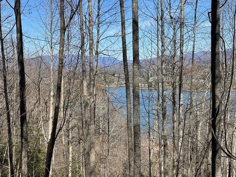 .87 acre Brer Fox Ridge Hiawassee GA 30546