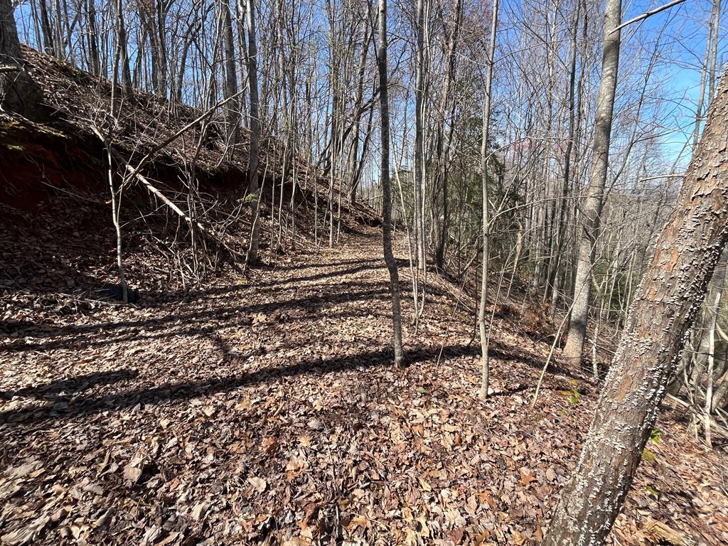 .87 acre Brer Fox Ridge