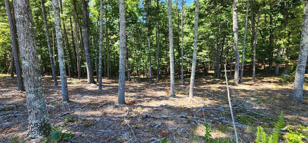 Lot 51 Ridge Drive