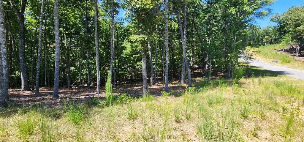 Lot 51 Ridge Drive