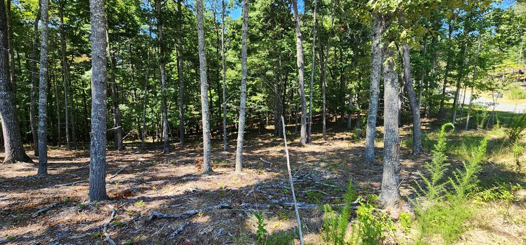 Lot 51 Ridge Drive