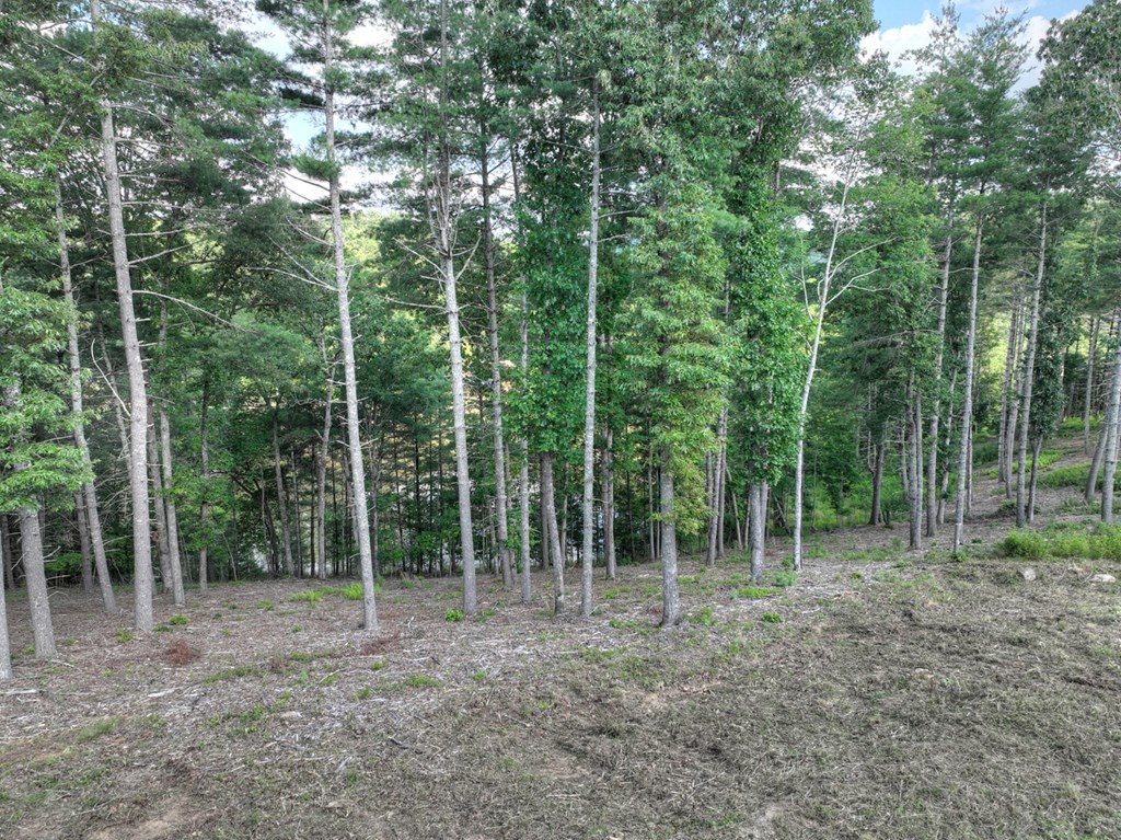 190 Split Creek Road